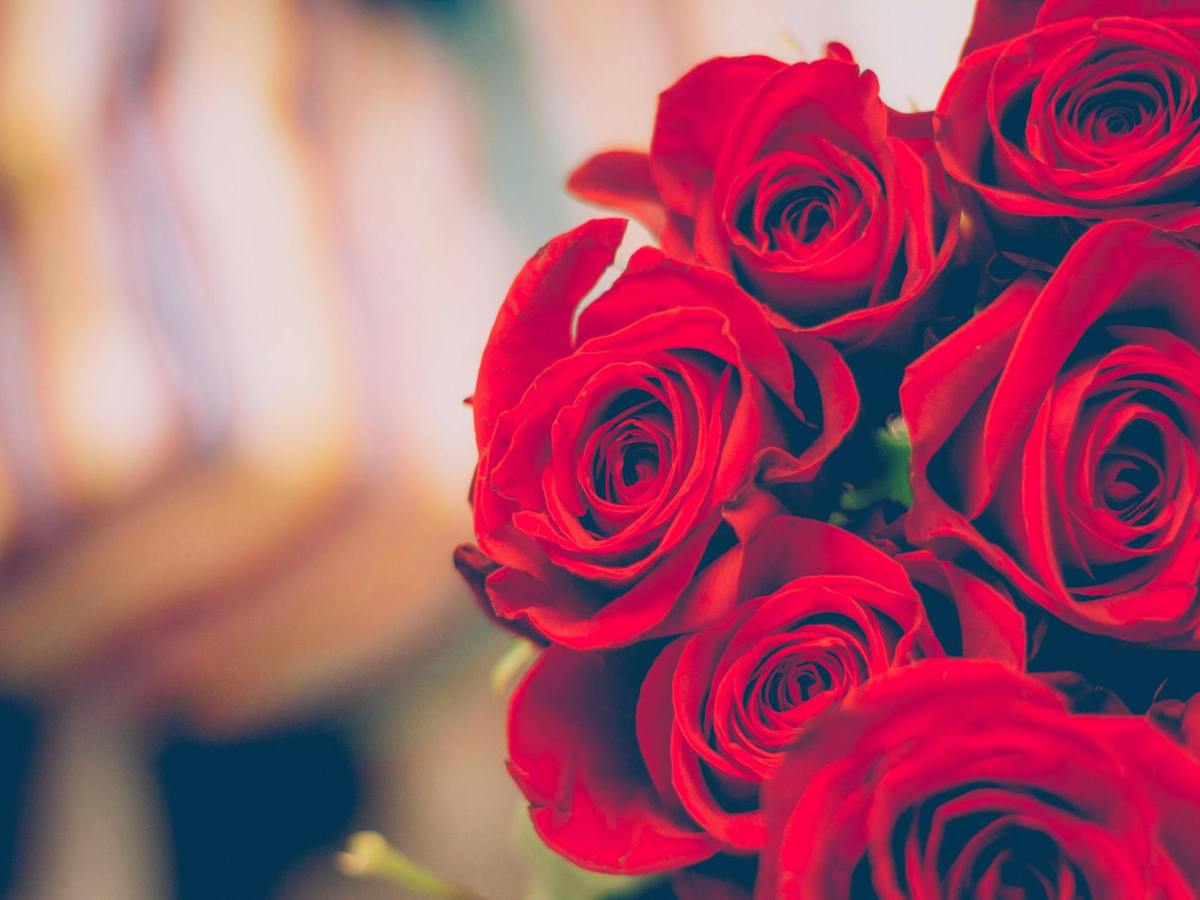 Lucy Powell – Deputy Labour&nbsp;Leader